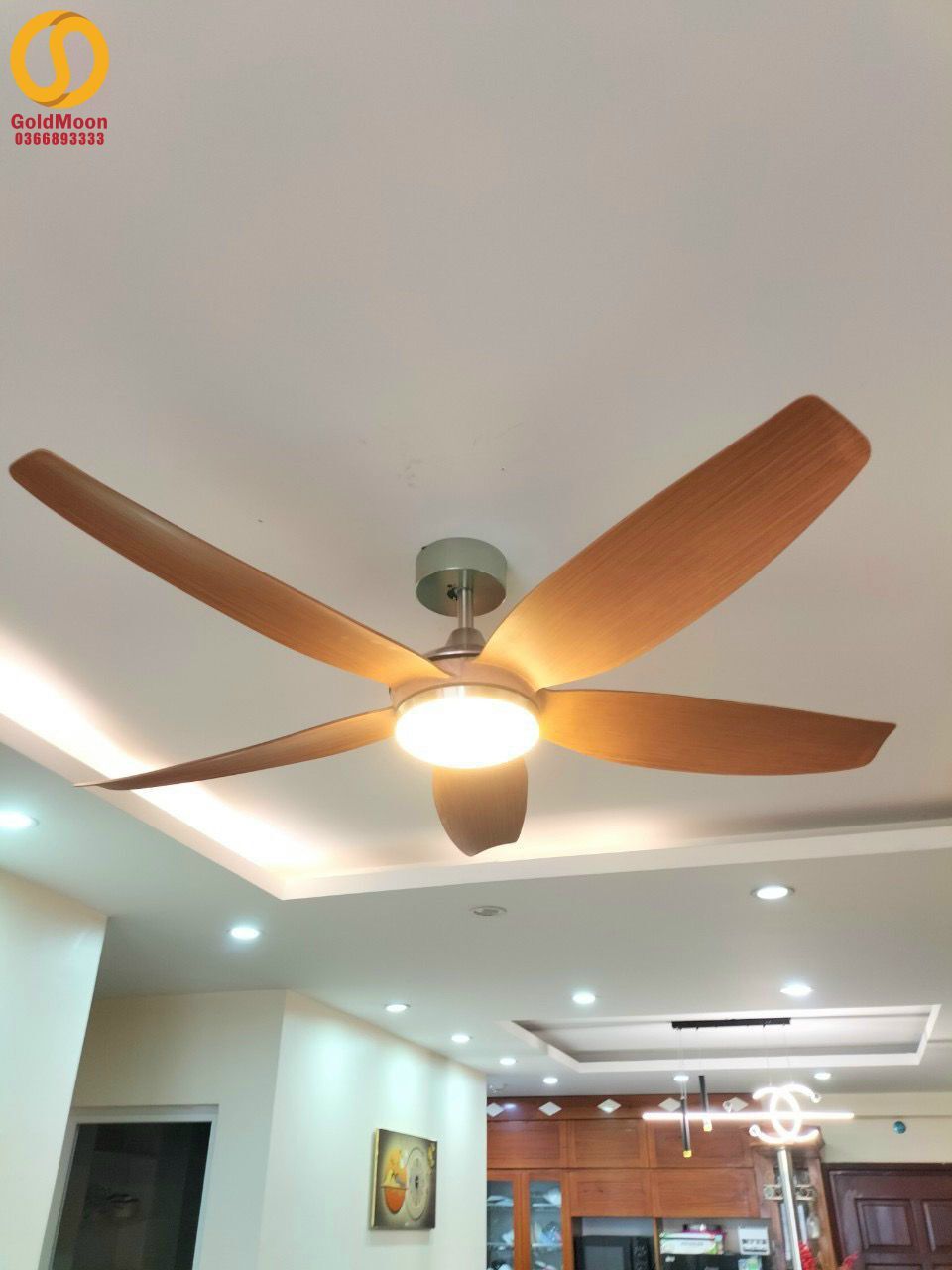 Quạt trần đèn cánh dài 56A916 2