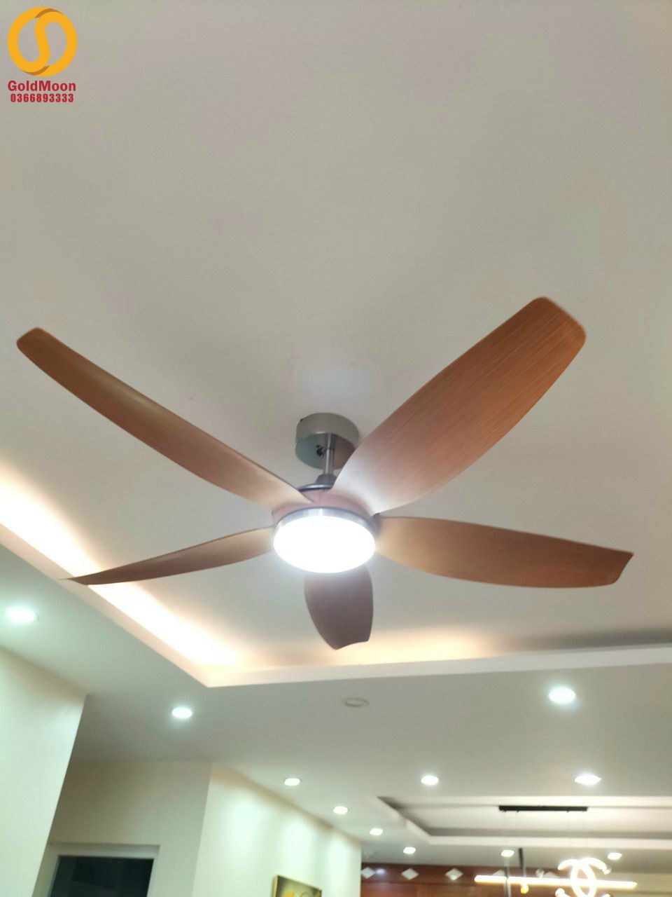 Quạt trần đèn cánh dài 56A916 3