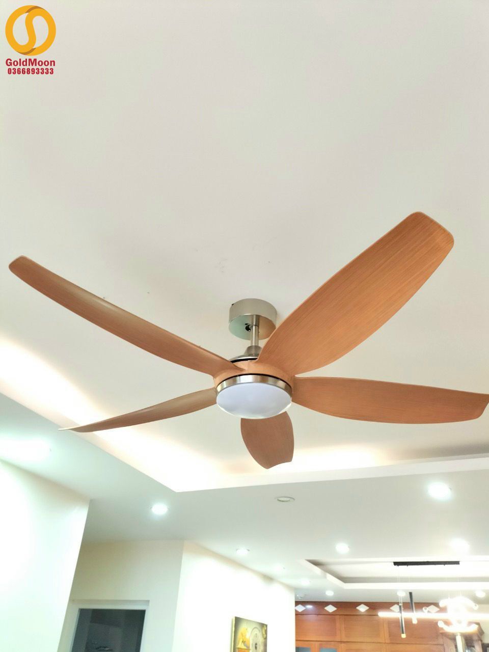 Quạt trần đèn cánh dài 56A916 4