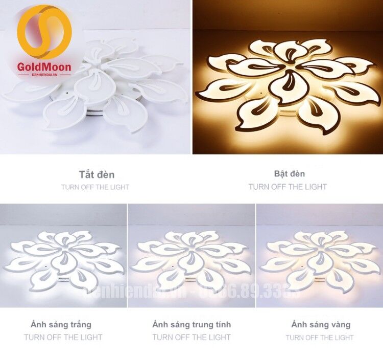 Đèn mâm ốp trần hiện đại 1050-12 5