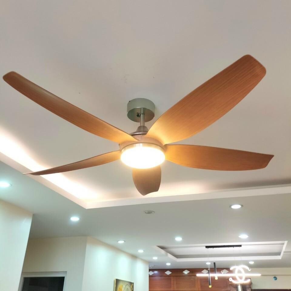 Quạt trần đèn cánh dài 56A916 1